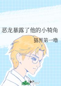 ������¶������С����