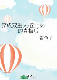 ˫˸boss÷
