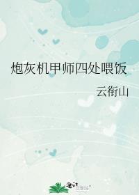 �ڻһ���ʦ�Ĵ�ι��