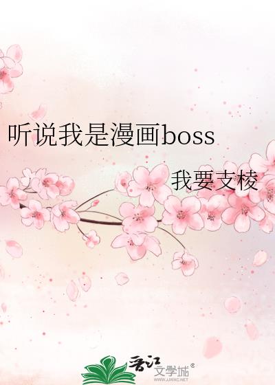 ˵boss