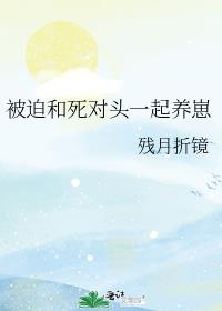 ���Ⱥ�����ͷһ������